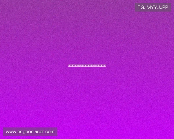 挪威与法国在世界杯中的交手历史及未来比赛走势深度解读